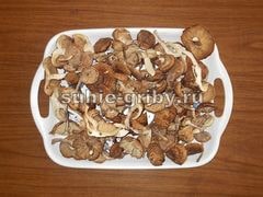 Опенок сушеный купить